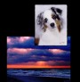 Metallic Mounted Prints